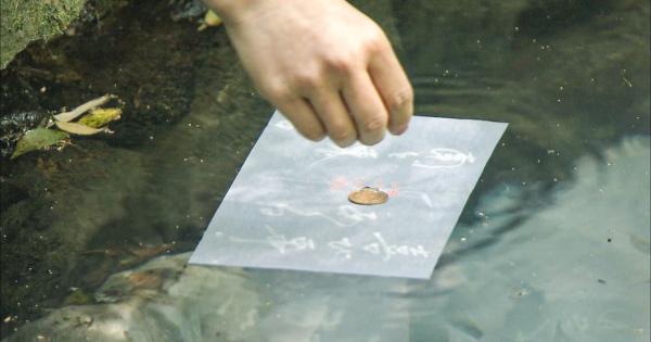 島根が舞台、朝ドラ「ばけばけ」に登場した占いのできる池。縁結びで有名な八重垣神社