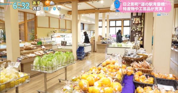 自然に囲まれた絶景スポット「道の駅 青雲橋」（宮崎県日之影町）