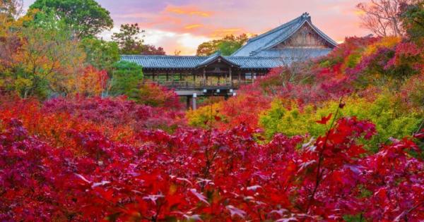 京都市内のおすすめ紅葉スポット6選〜錦の雲海が広がる名所のお寺から穴場スポット・水上さんぽまで〜