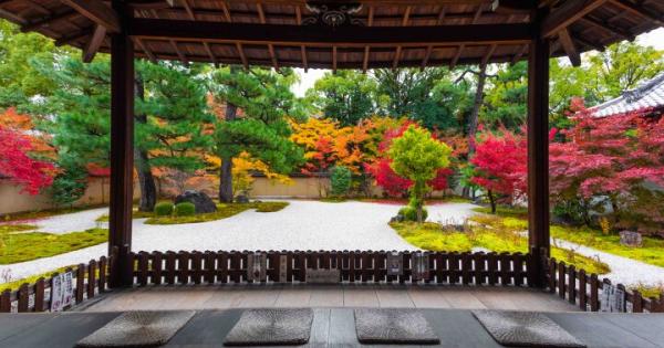 京都・紫式部ゆかりの地にたたずむ「廬山寺」で、優美な源氏物語の世界と紅葉を満喫♪