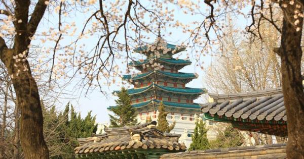 韓国・ソウルにも春が到来。お花見も、おいしいグルメも。春のソウルの楽しみ方
