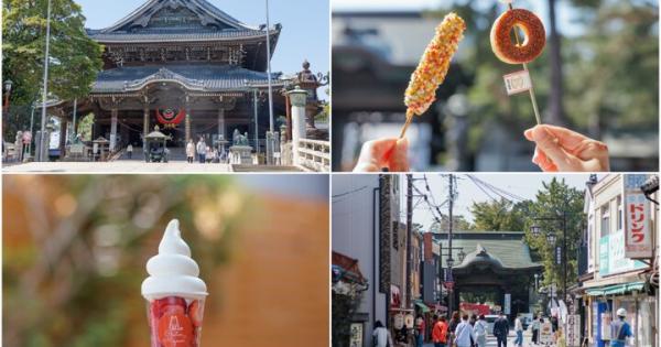 名物いなり寿司やスイーツの食べ歩きも楽しい♪愛知・豊川稲荷参道さんぽ