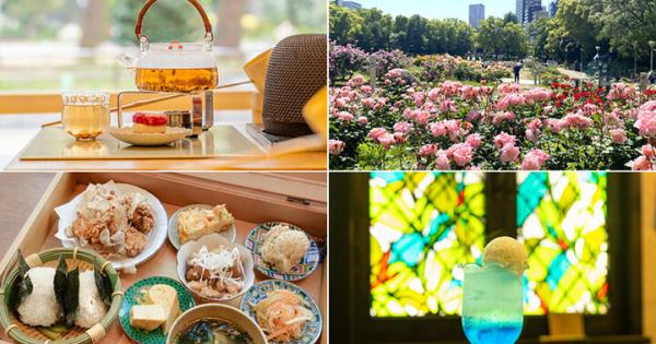 靭公園のバラ散策と一緒に♪ 心ときめくカフェ5選