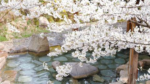 専門家厳選！花見風呂が楽しめる関東甲信越の温泉宿5選