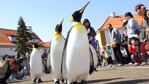 温泉の川が流れる「登別温泉」で街歩きと足湯旅