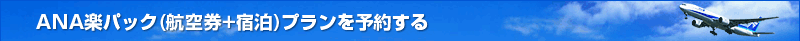  ANA�y�p�b�N(�q��+�h��)�v������\�񂷂�