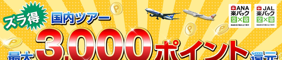 最大3,000ポイントキャンペーン
