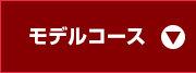 ���f���R�[�X