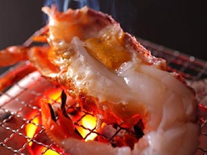城崎　円山川　ひだまり