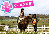 東京ドーム10倍の広さ！那須どうぶつ王国