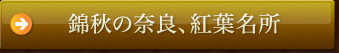 �яH�̓ޗǁA�g�t����