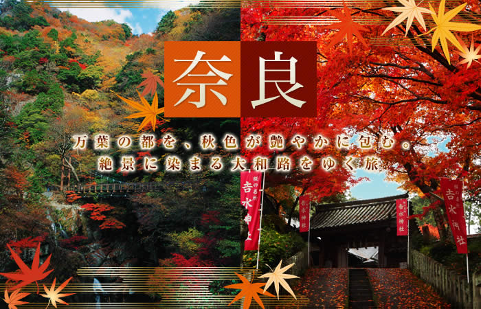 �ޗ� ���t�̓s���A�H�F�����₩�ɕ�ށB��i�ɐ��܂��a�H���䂭��