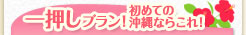 �ꉟ���v�����I���߂Ẳ���Ȃ炱��I
