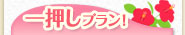 �ꉟ���v�����I