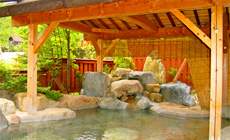 奥飛騨温泉郷 新穂高温泉 リゾートインちろり庵