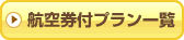 �q�󌔕t�v�����ꗗ