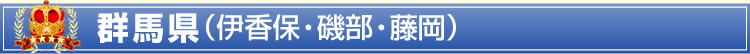 群馬県(伊香保・磯部・藤岡)