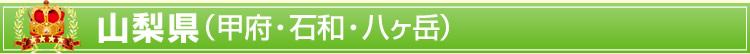 �R�����i�b�{�E�Θa�E�����x�j