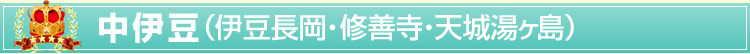 ���ɓ��i�ɓ������E�C�P���E�V�铒�����j