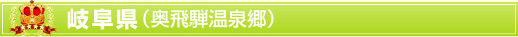 岐阜県(奥飛騨温泉郷)