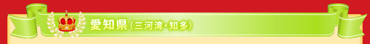愛知県(三河湾・知多)