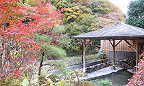 箱根湯本温泉 ホテルおくゆもと