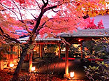群馬県・老神温泉 仙郷