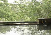 青根温泉 岡崎旅館