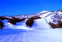 �J�����X����T�����C�o�X�L�[��̃C���[�W�}�b�v
