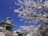 山代温泉 葉渡莉(はとり)