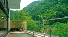 中川温泉 信玄館