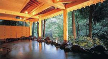 山中温泉 白鷺湯たわらや