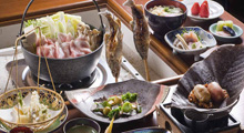 祖谷渓温泉 ホテル秘境の湯