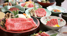 飛騨古川スペランツァホテル