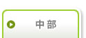 中部