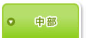 中部
