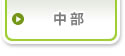 中部