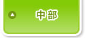 中部