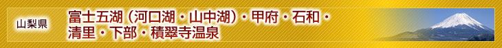 [�摜]�R���� �x�m�܌΁i�͌��΁E�R���΁j�E�b�{�E�Θa�E�����E�����E�ϐ�������