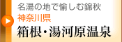 �����̒n�Ŗ����ދяH�@�_�ސ쌧 �����E���͌�����