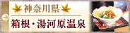 �_�ސ쌧 �����E���͌�����