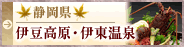 �É����@�ɓ������E�ɓ�����