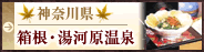 �_�ސ쌧 �����E���͌�����