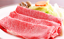 飛騨古川スペランツァホテル