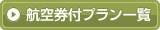 �q�󌔕t�v�����ꗗ