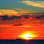 �`�m�`�C���^�[�R���`�l���^�������r�[�`���]�[�g