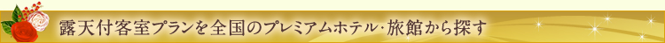 �I�V�t�q���v������S���̃v���~�A���z�e���E���ق���T��