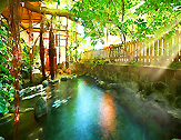 熱川温泉 源泉湯守り 玉翠館