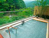 中川温泉 信玄館