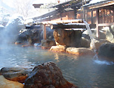 平湯館 生粋源泉放流の宿